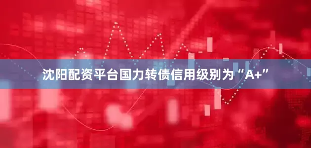 沈阳配资平台国力转债信用级别为“A+”