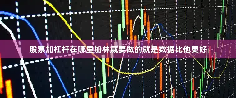 股票加杠杆在哪里加林葳要做的就是数据比他更好