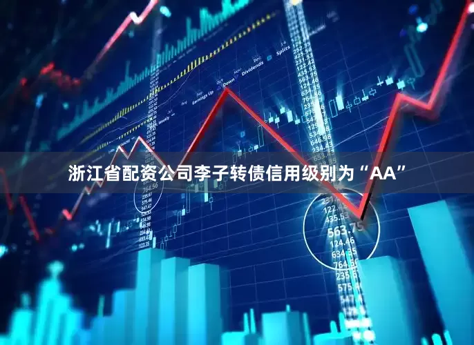 浙江省配资公司李子转债信用级别为“AA”