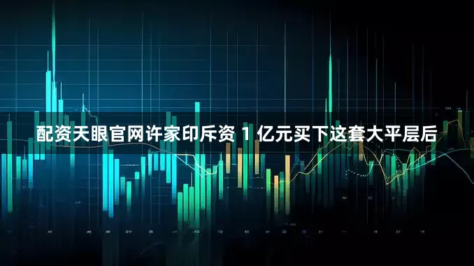 配资天眼官网许家印斥资 1 亿元买下这套大平层后