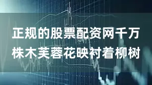 正规的股票配资网千万株木芙蓉花映衬着柳树