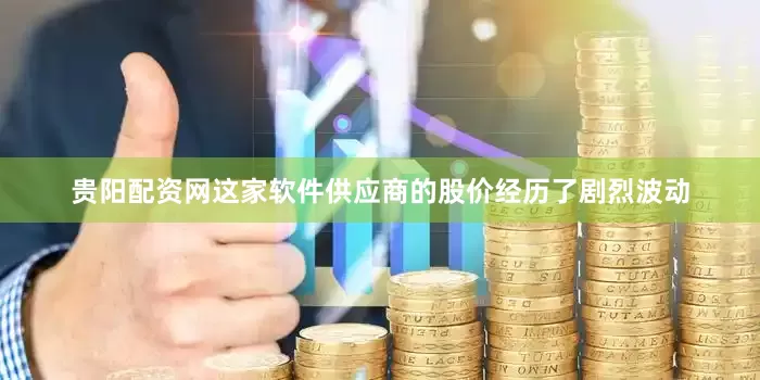 贵阳配资网这家软件供应商的股价经历了剧烈波动